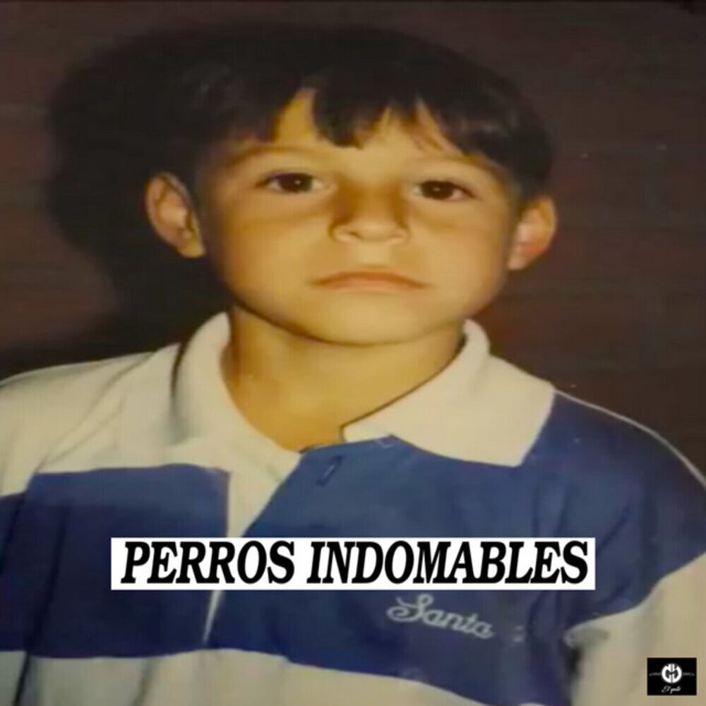Picture of Perros Indomables