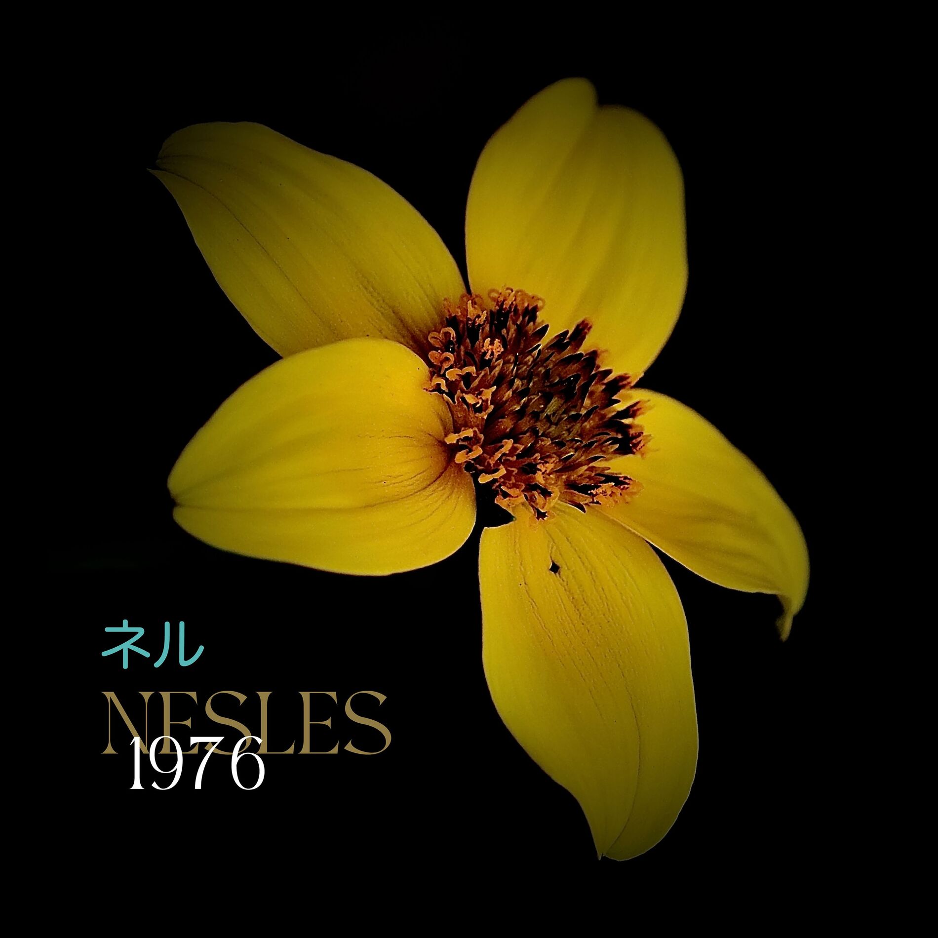 Album cover of 1976