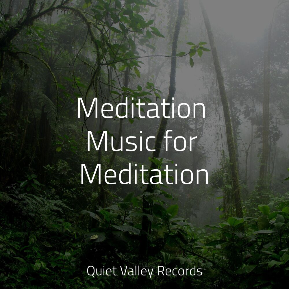 Picture of Meditation Music for Meditation