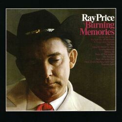 Cover of Burning Memories