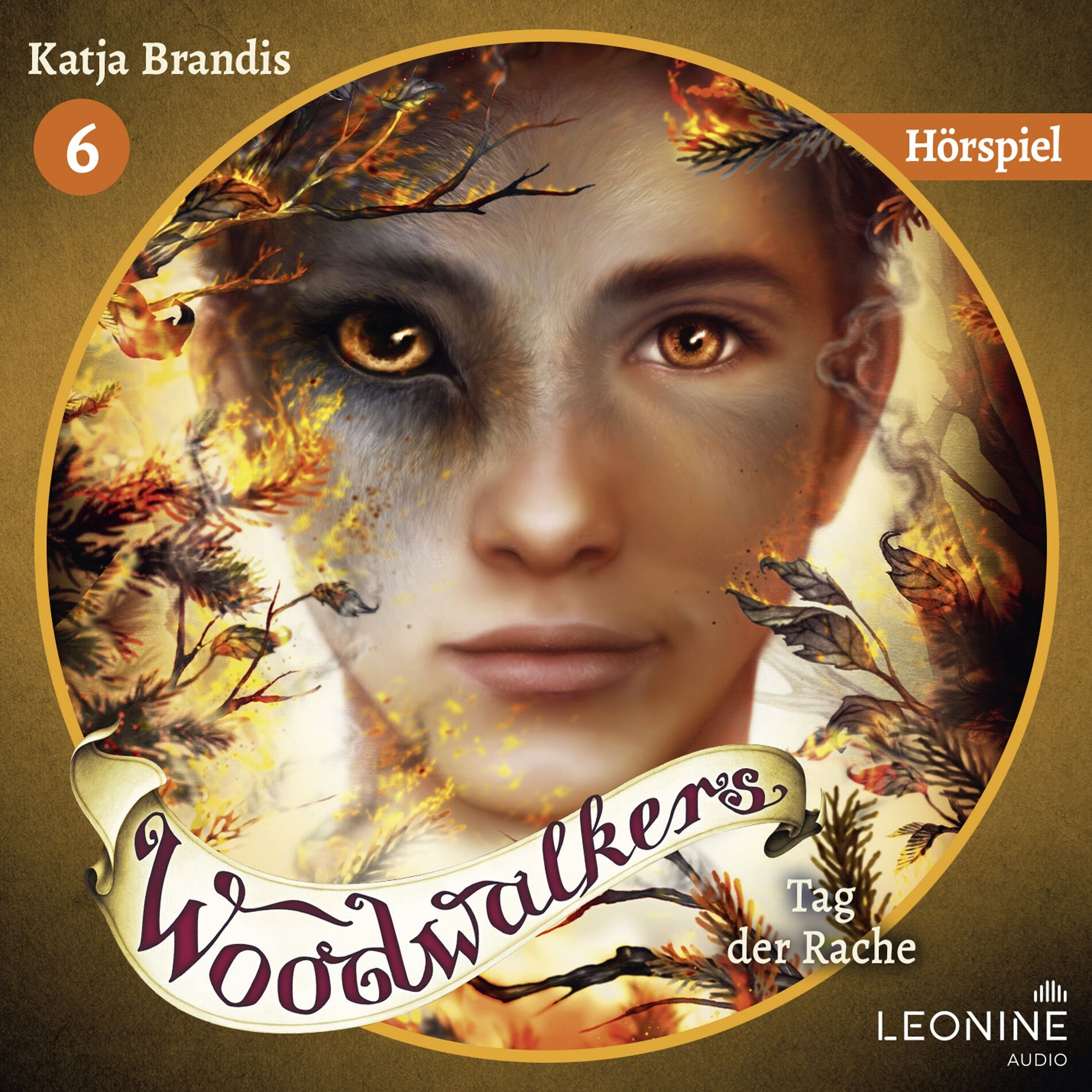 Album cover of Inhaltsangabe: Tag der Rache (Band 06)