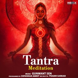 Cover of Tantra Meditation