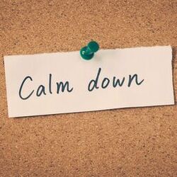 Cover of Calm Down