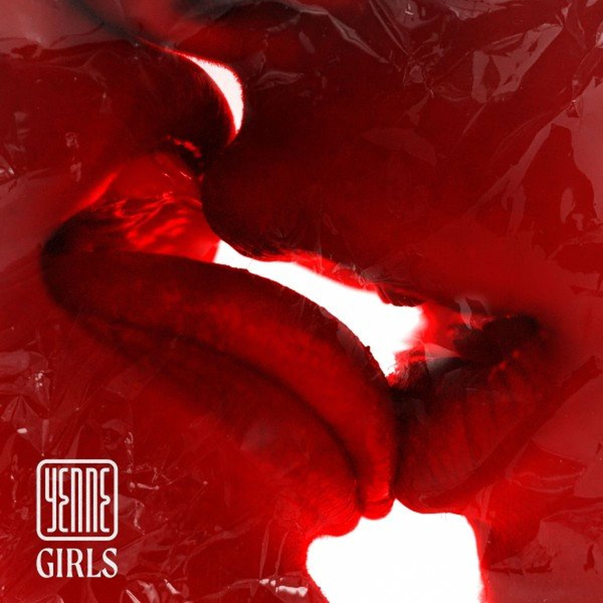 Album cover of Girls