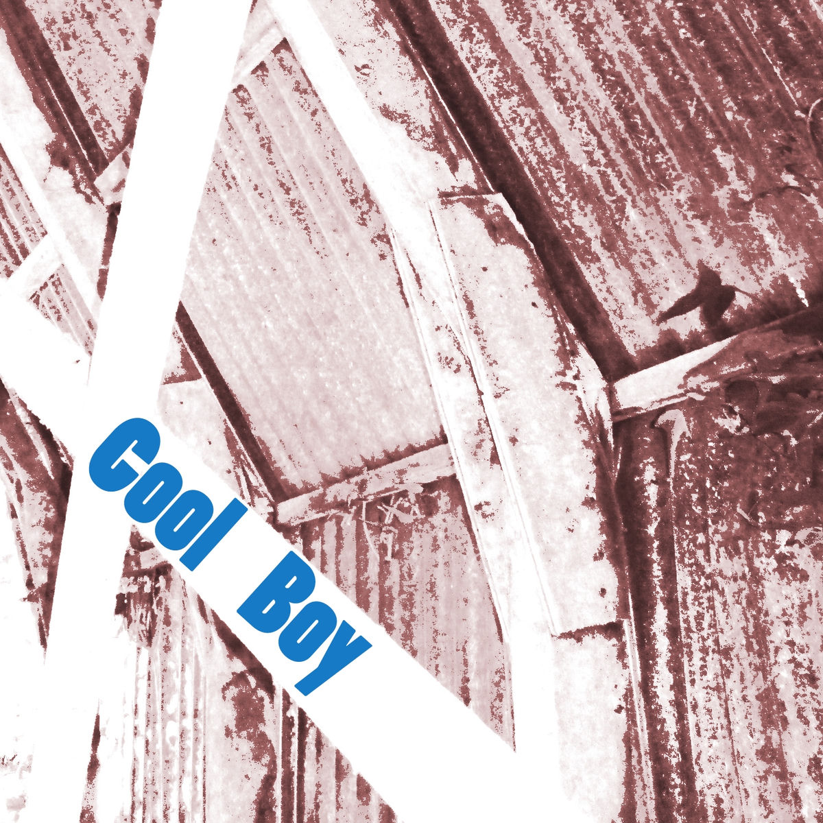 Album cover of Cool Boy