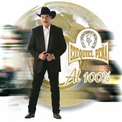 Cover of Al 100%