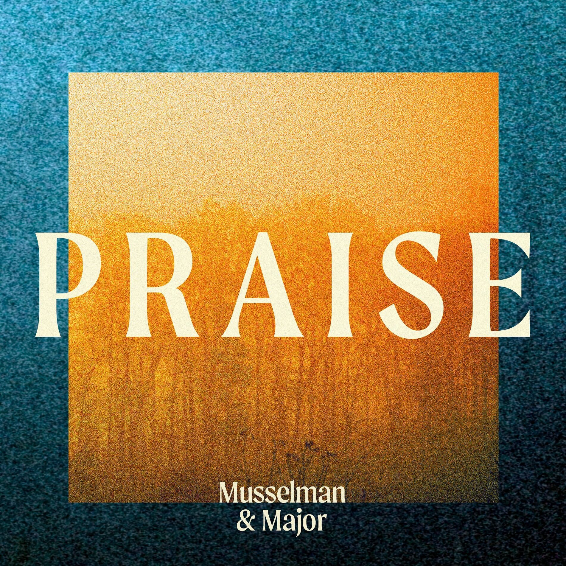 Album cover of Praise
