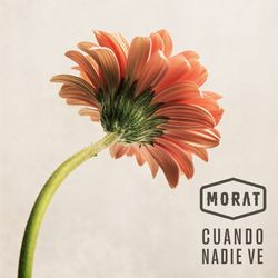 music cover