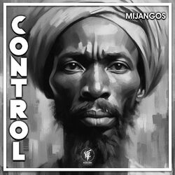 Cover of Control