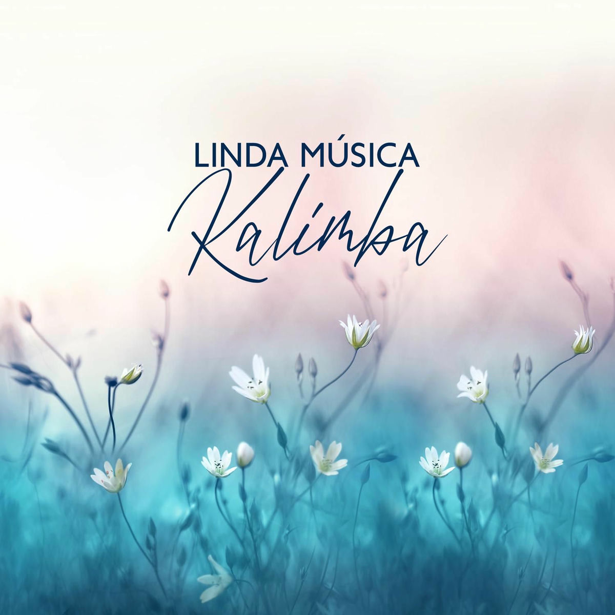 Album cover of Cura da Insônia