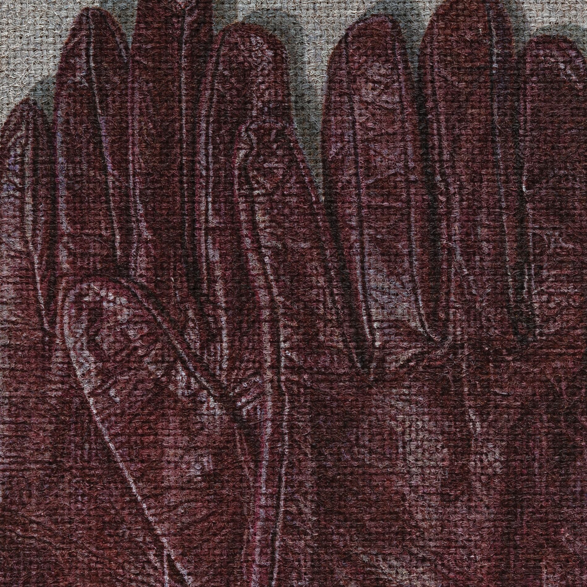 Album cover of Jellyfish