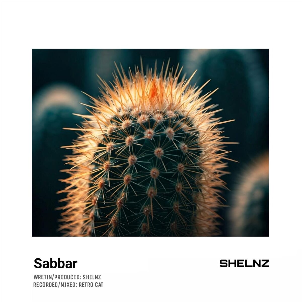 Album cover of Sabbar