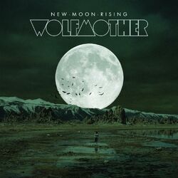 Cover of New Moon Rising