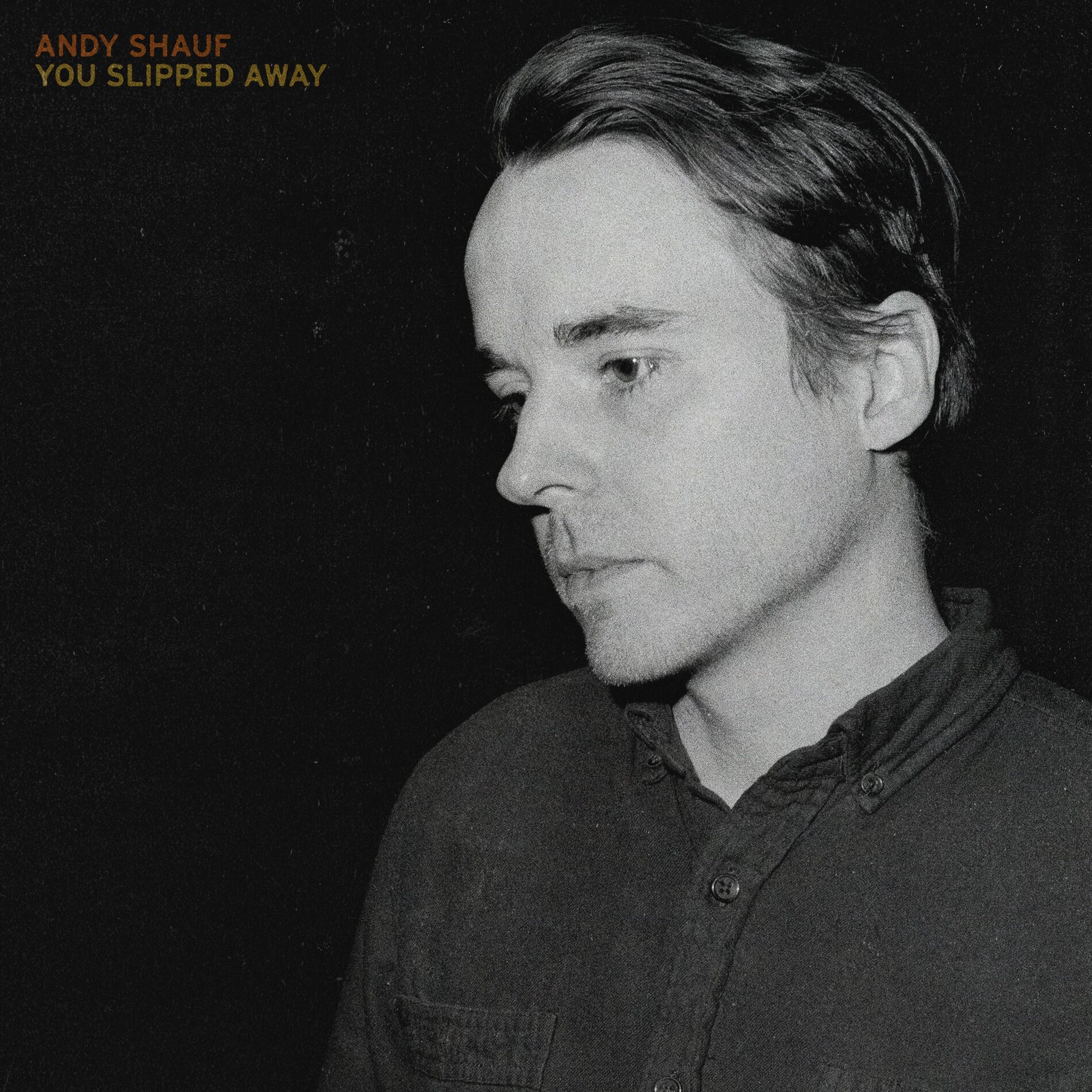 Album cover of You Slipped Away
