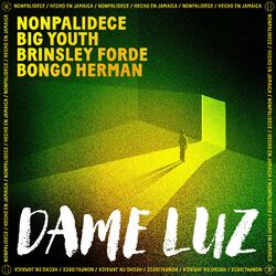 Cover of Dame Luz