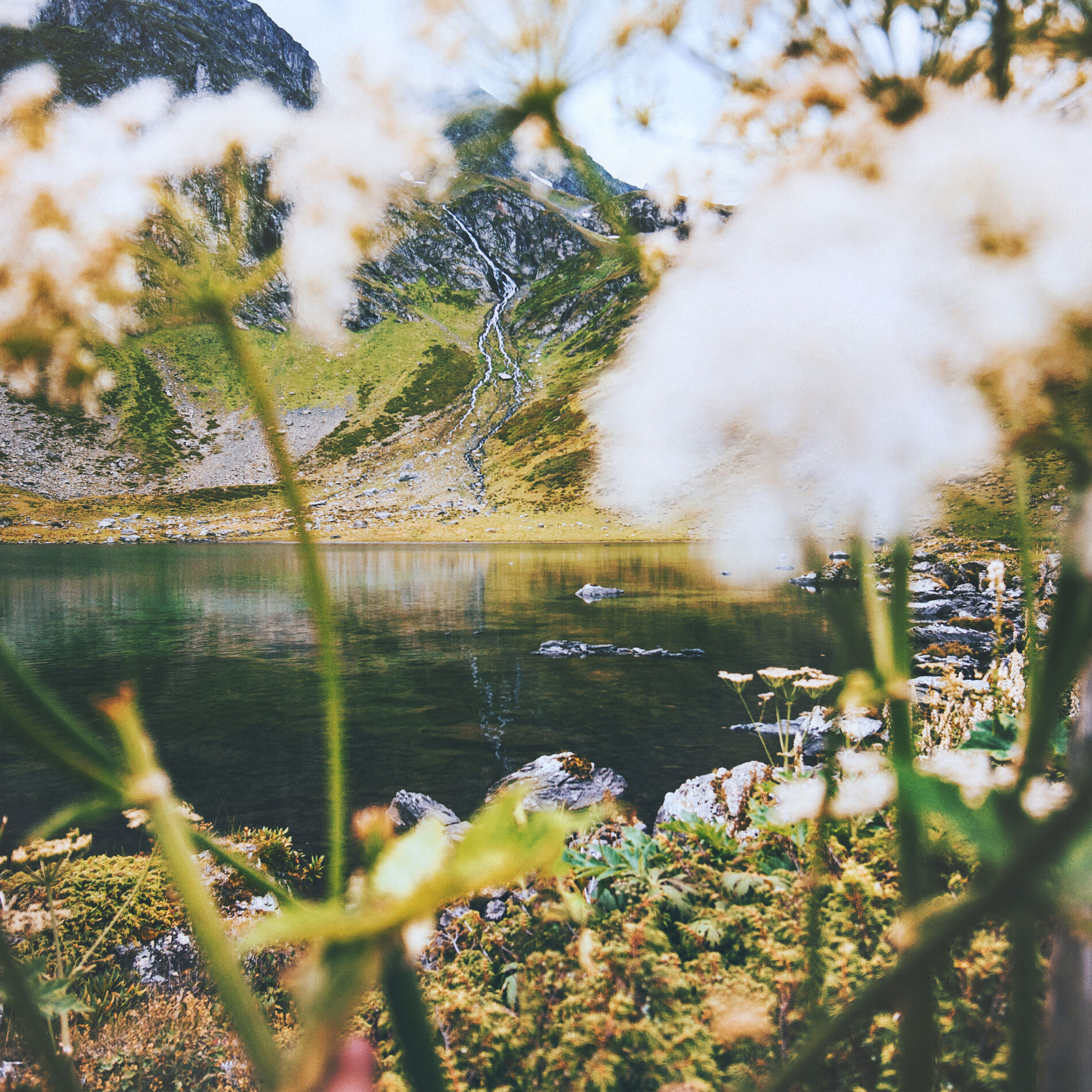 Album cover of Fine