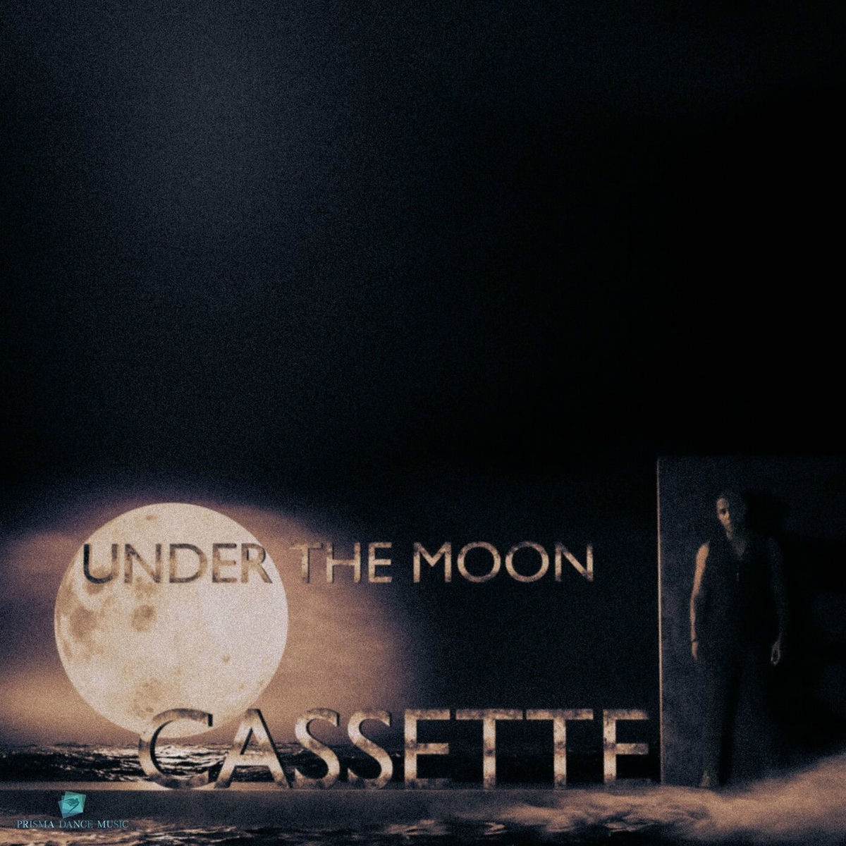 Album cover of Under the Moon