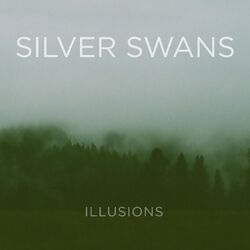 Cover of Illusions