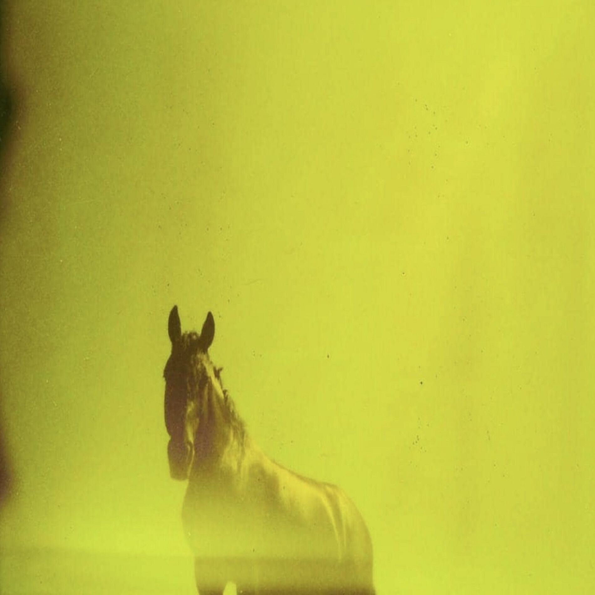 Album cover of Leña
