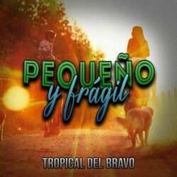 Cover of Pequeña y Frágil