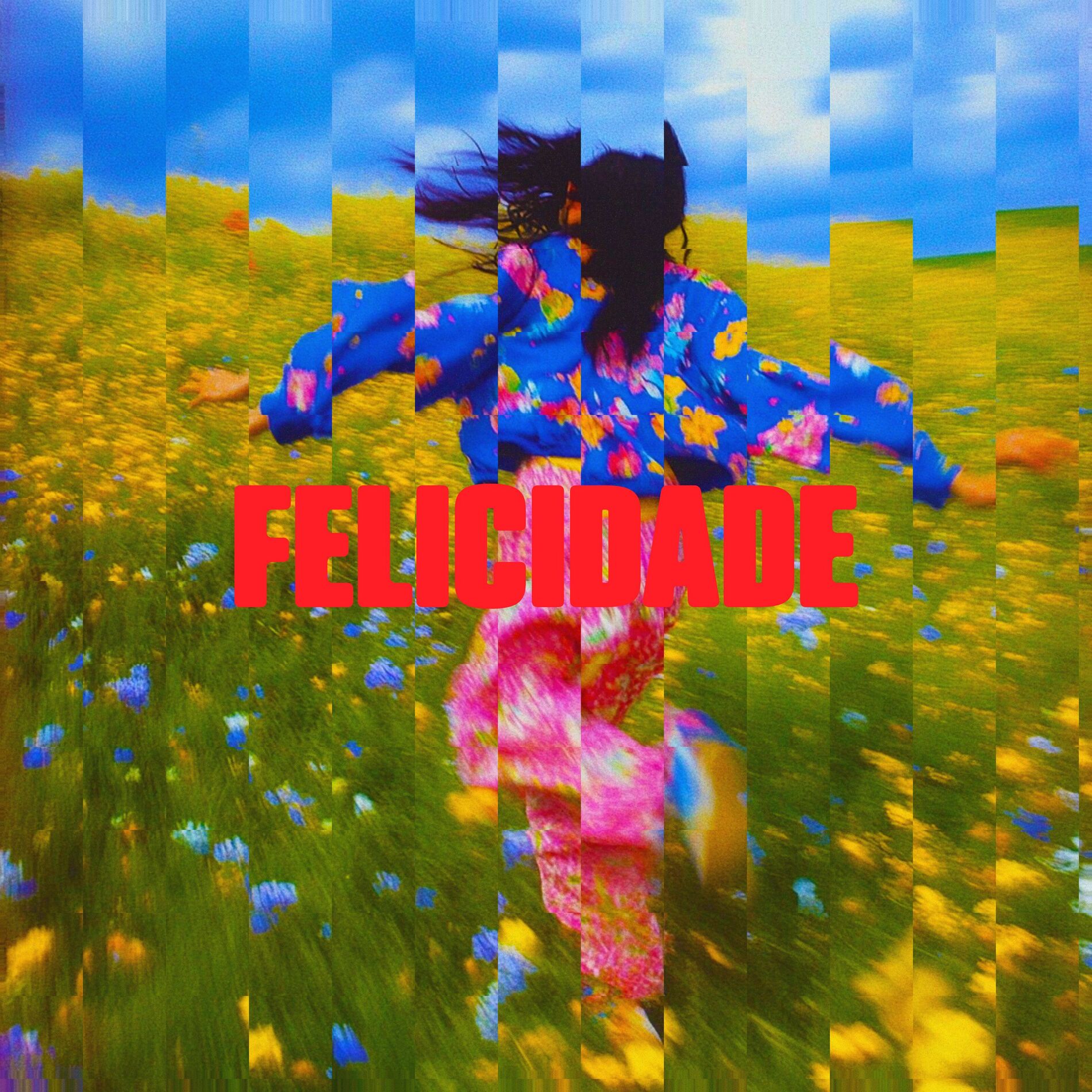 Album cover of Felicidade