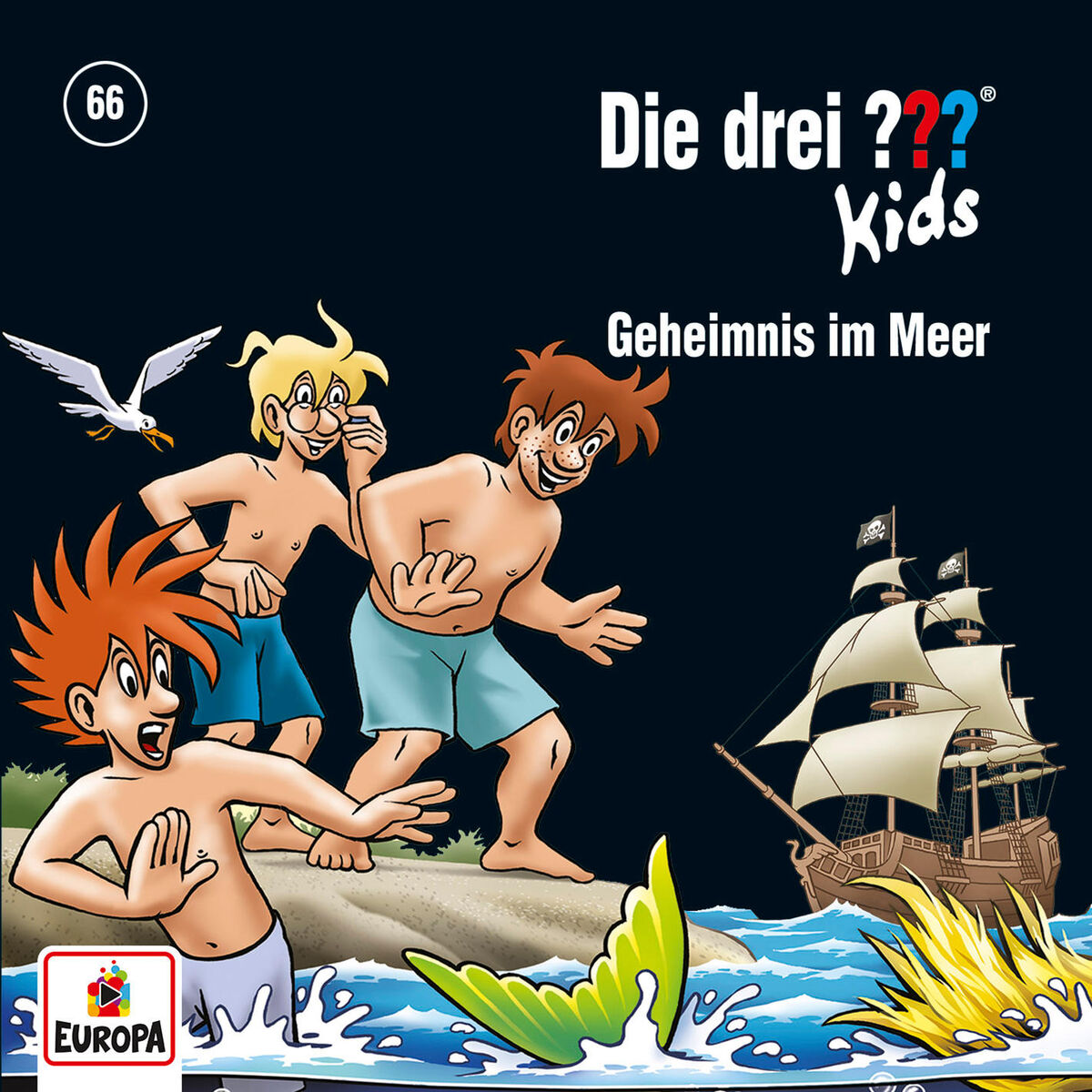 Album cover of 066 - Geheimnis im Meer