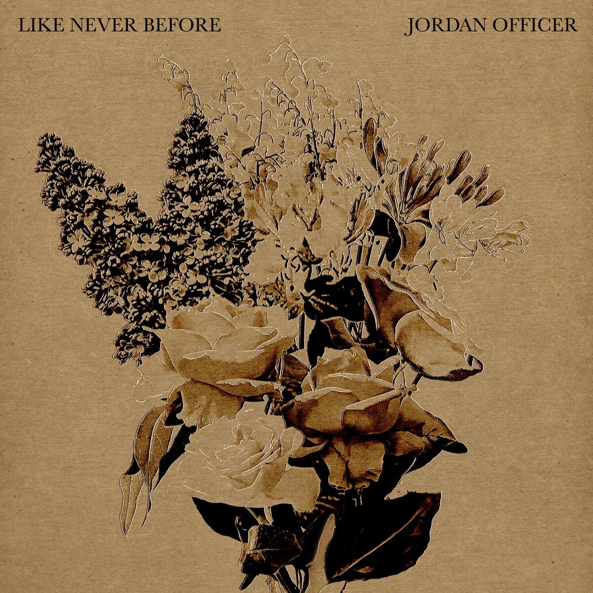 Album cover of Like Never Before