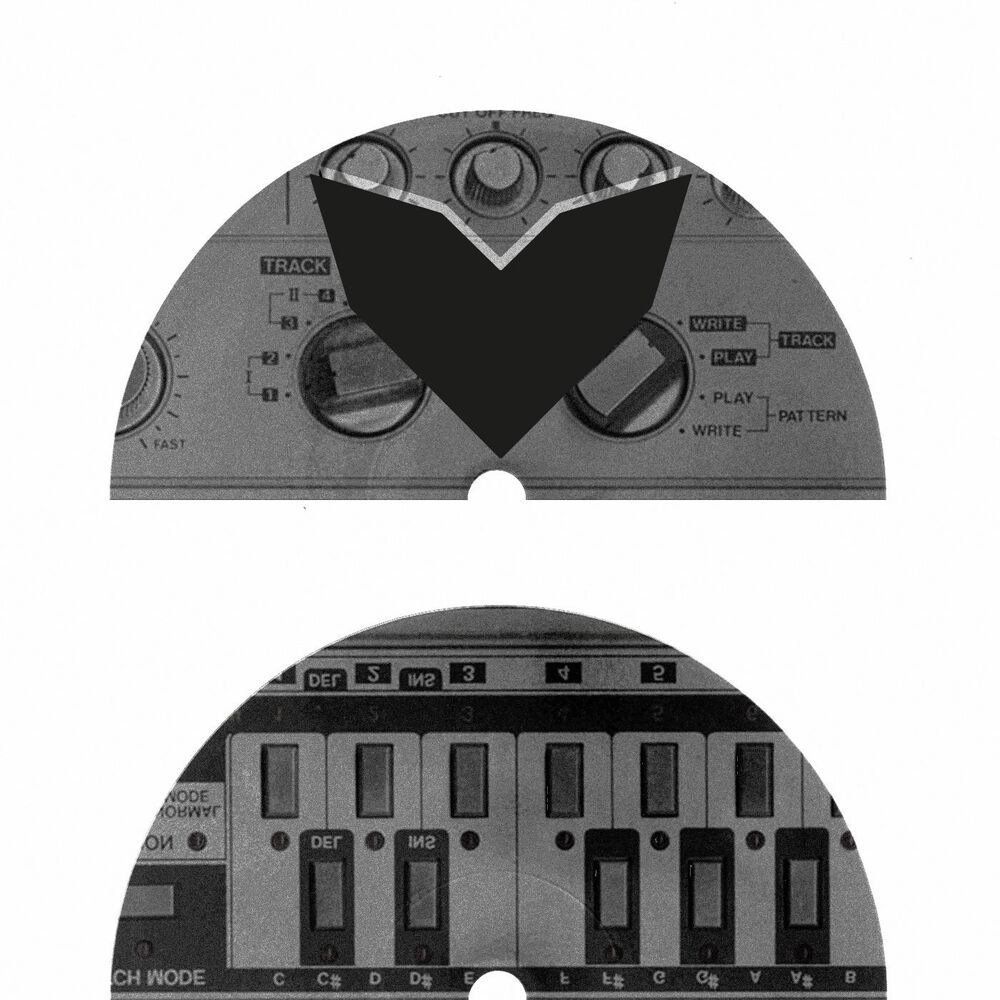 Picture of Acid Pack: 303