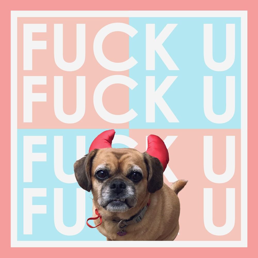 Picture of Fuck U (feat. Zamir & Park Bird)