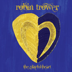 Cover of The Playful Heart