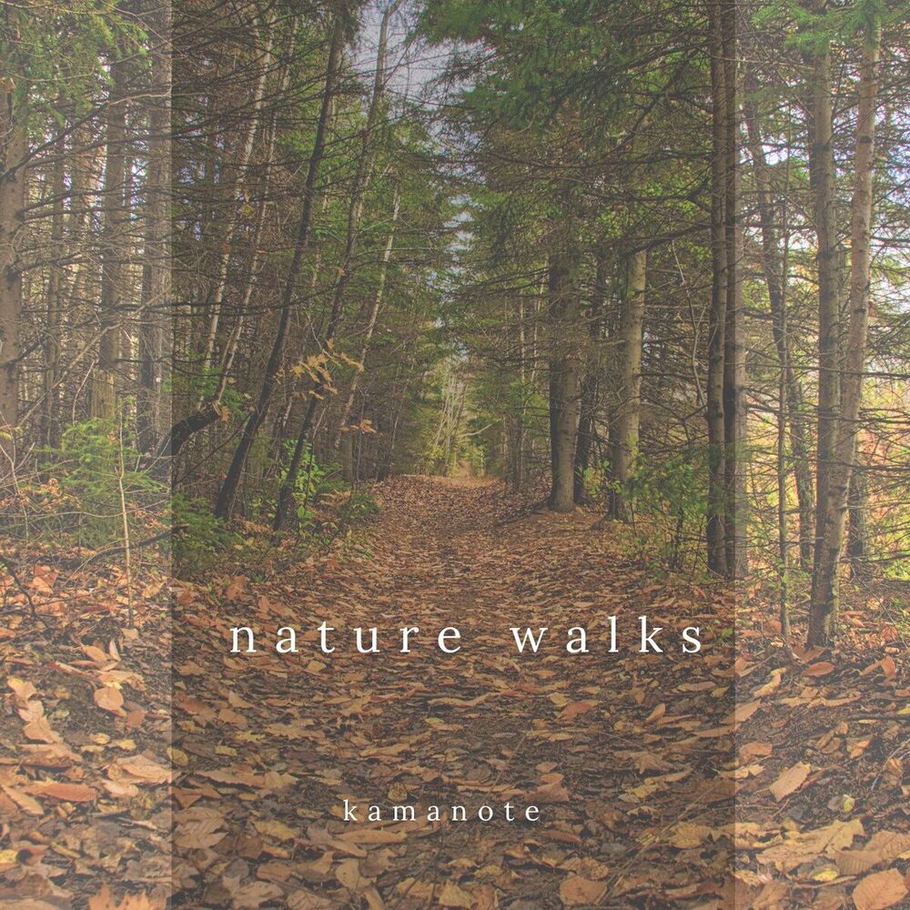 Picture of nature walks