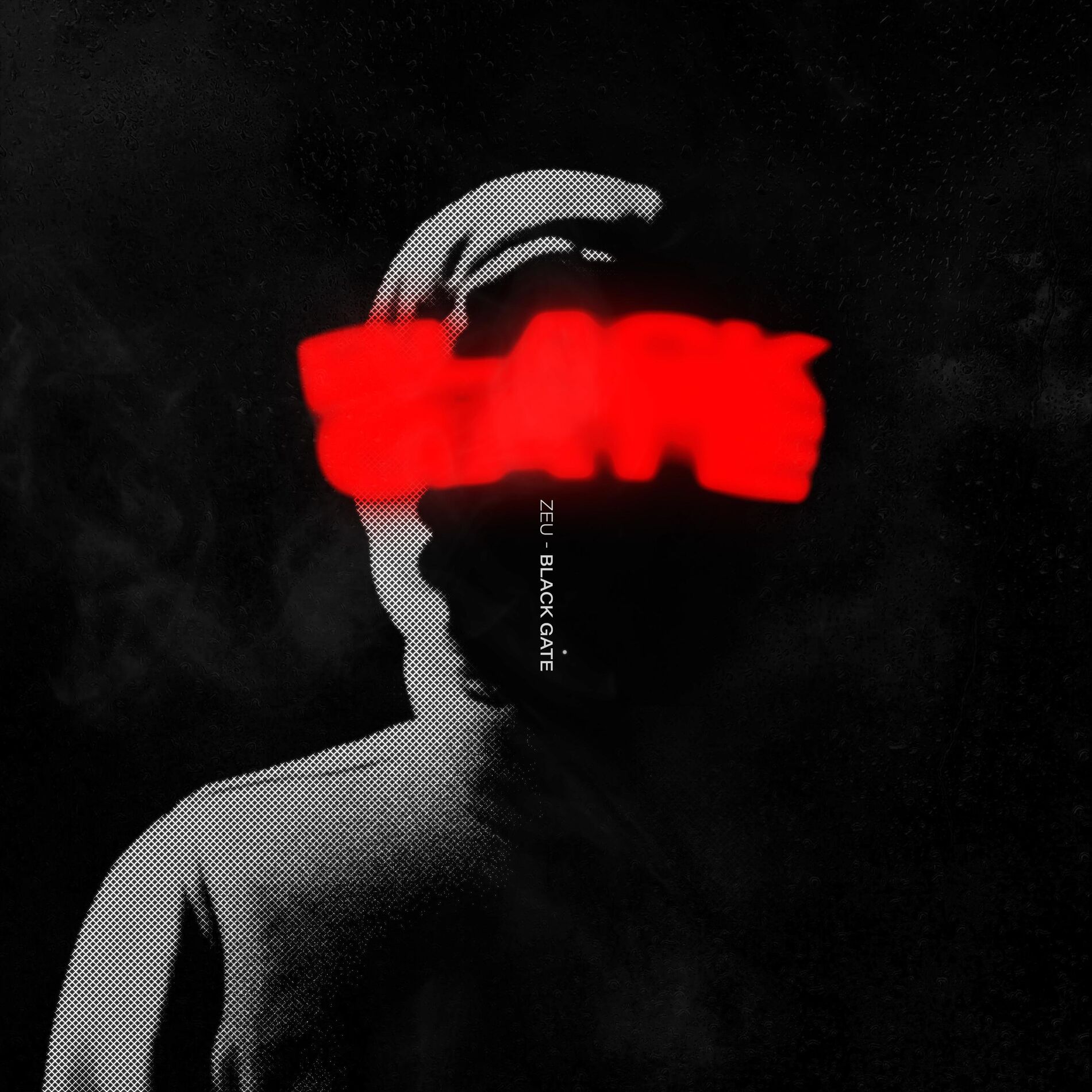 Album cover of Castaner
