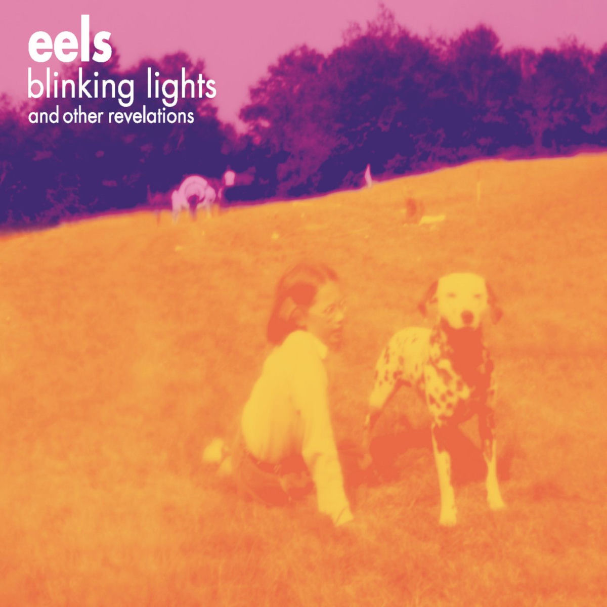 Album picture of Blinking Lights and Other Revelations