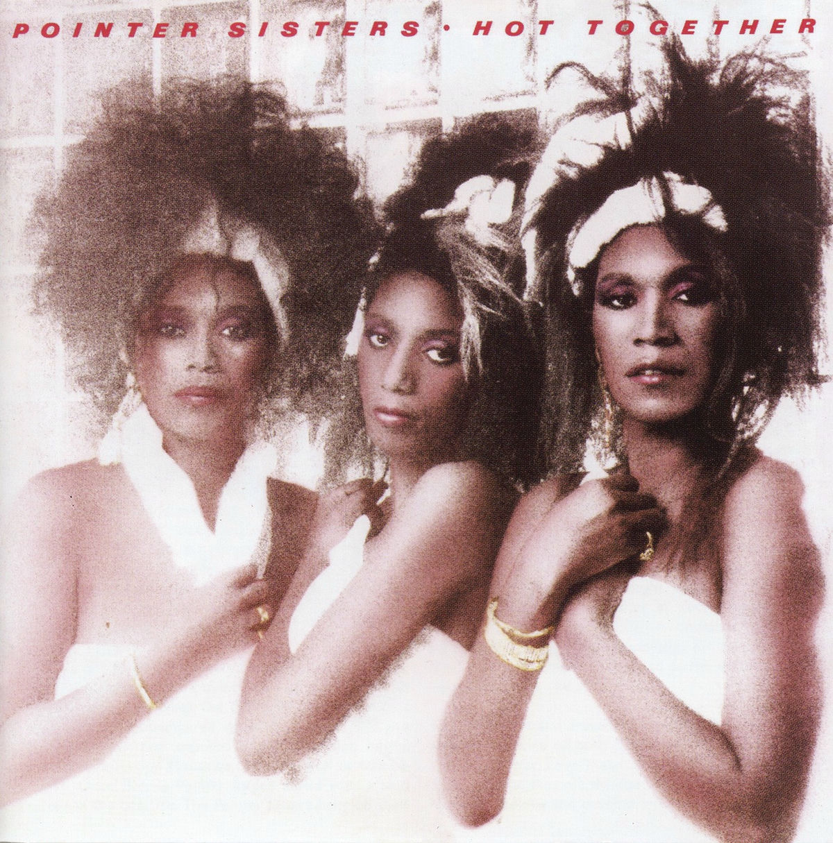 Album cover of Hot Together