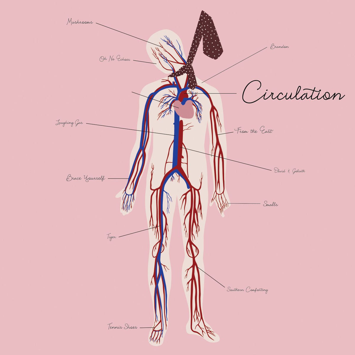 Album cover of Circulation