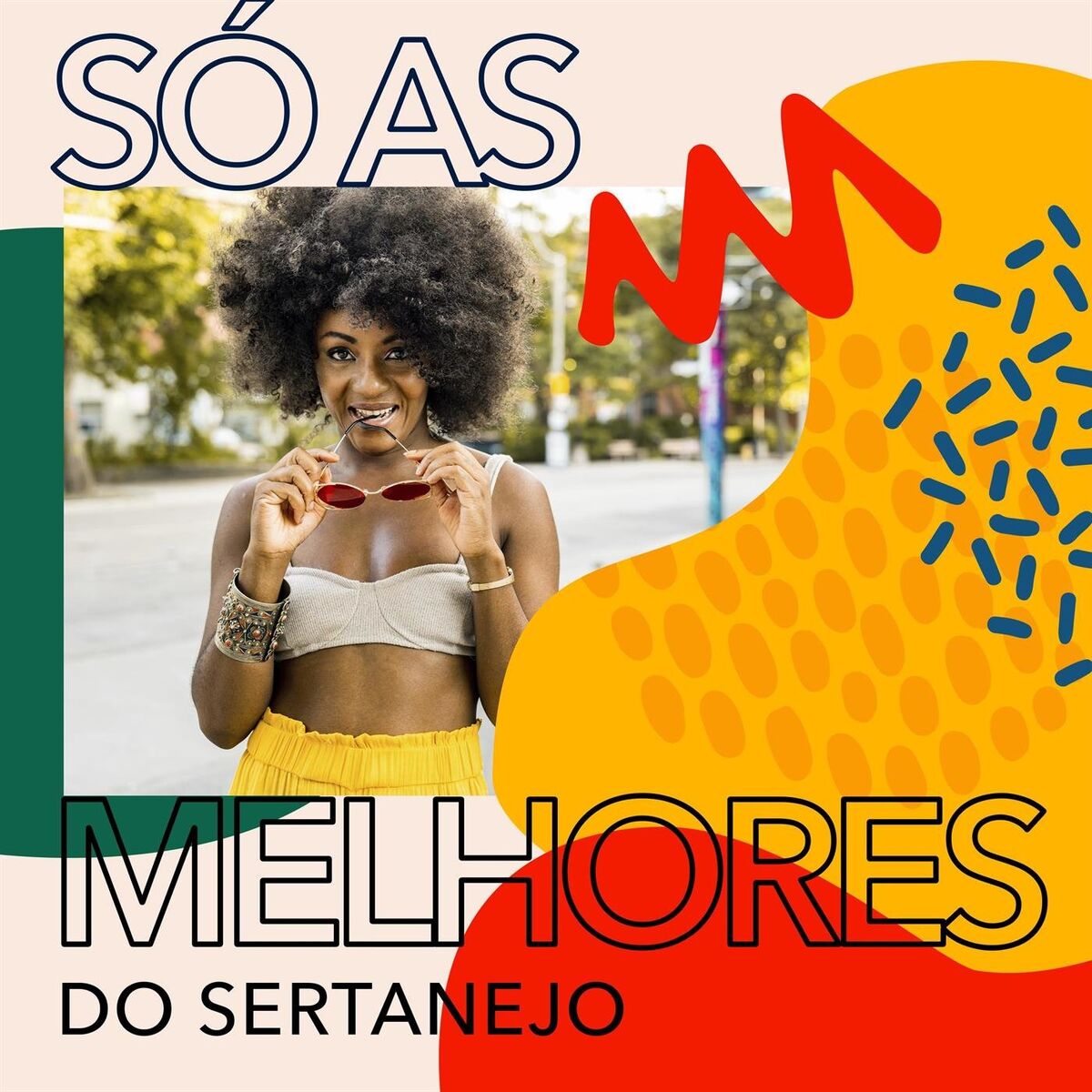 Album cover of Só as Melhores do Sertanejo