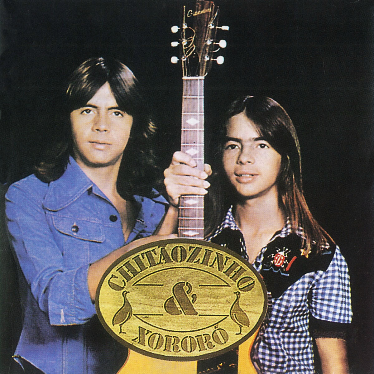 Album cover of A Força Jovem Da Música Sertaneja