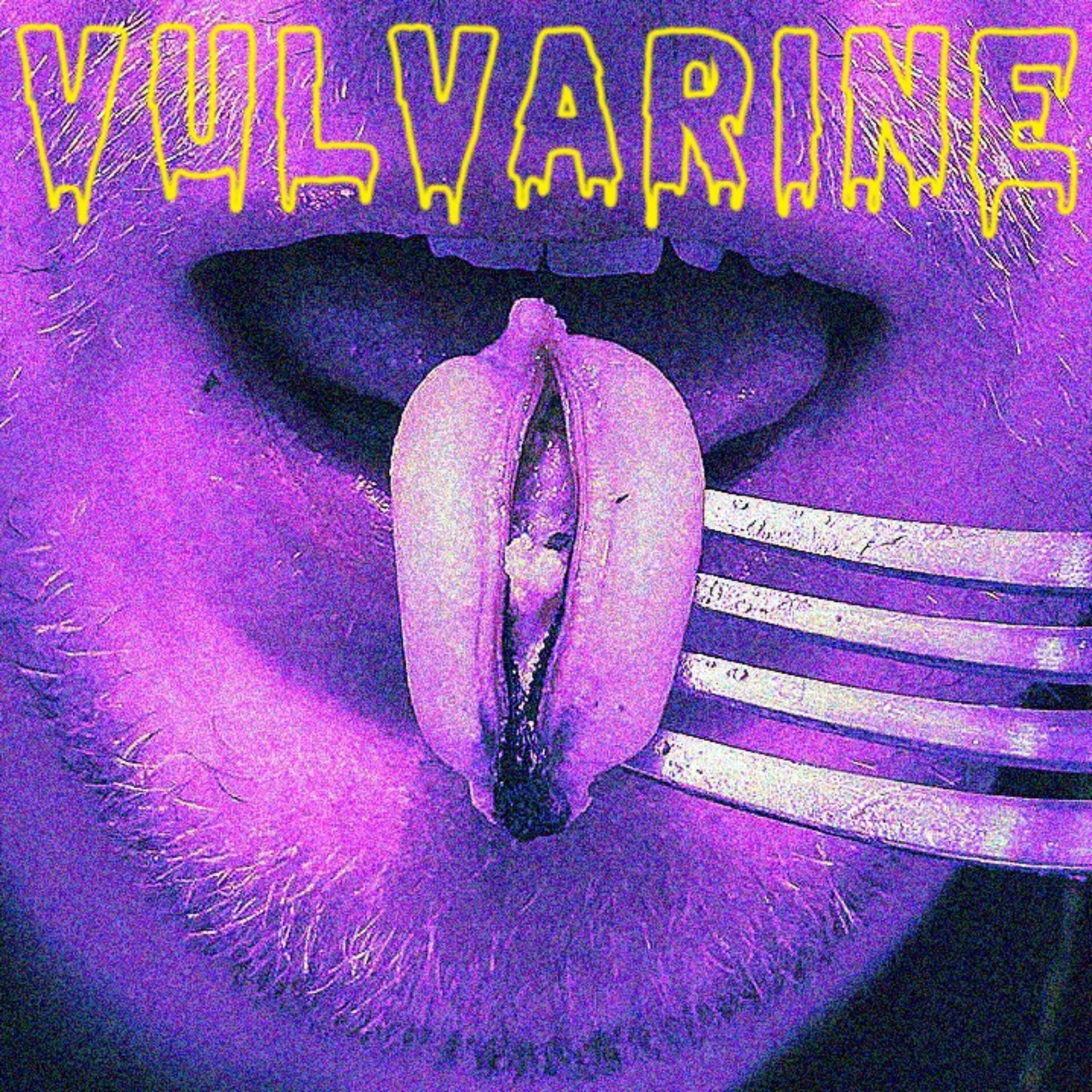 Album cover of VULVARINE