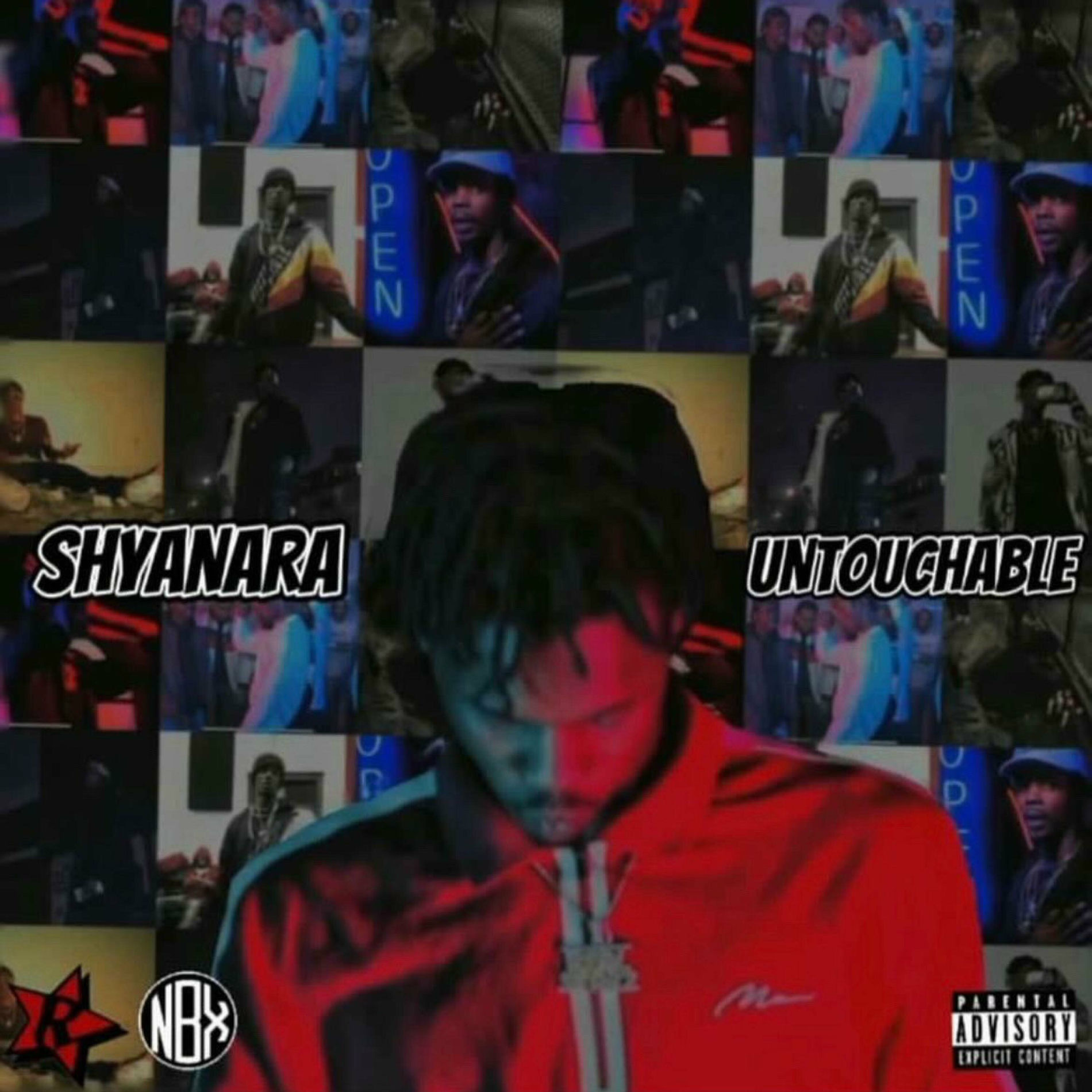 Album cover of Untouchable