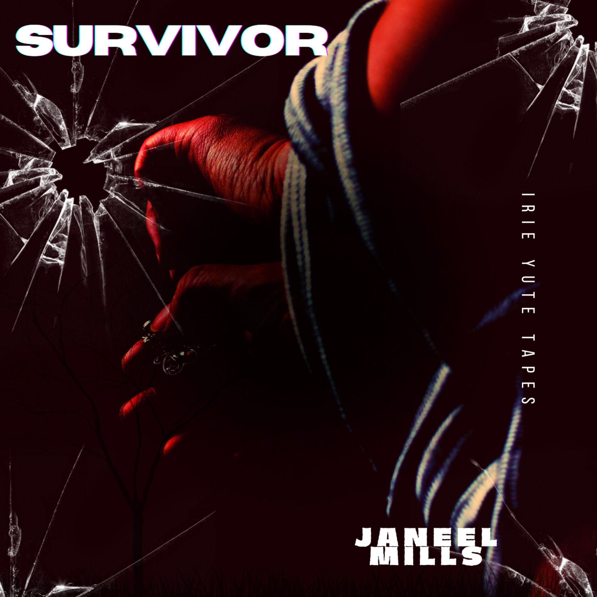 Album cover of Survivor