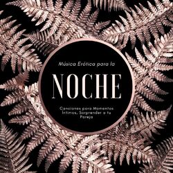 Cover of Música Erótica para la Noche: Canciones para Momentos Íntimos, Sorprender a tu Pareja