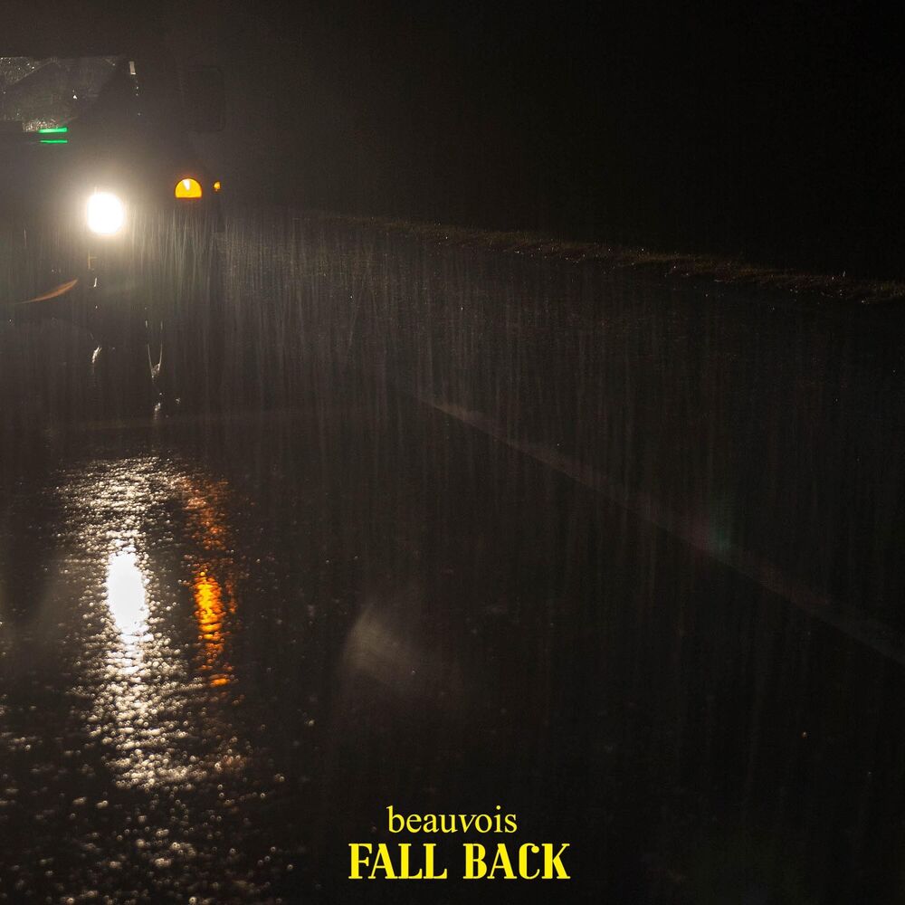 Picture of Fall Back