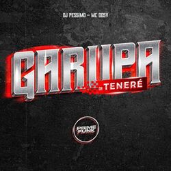 Cover of Garupa Da Teneré