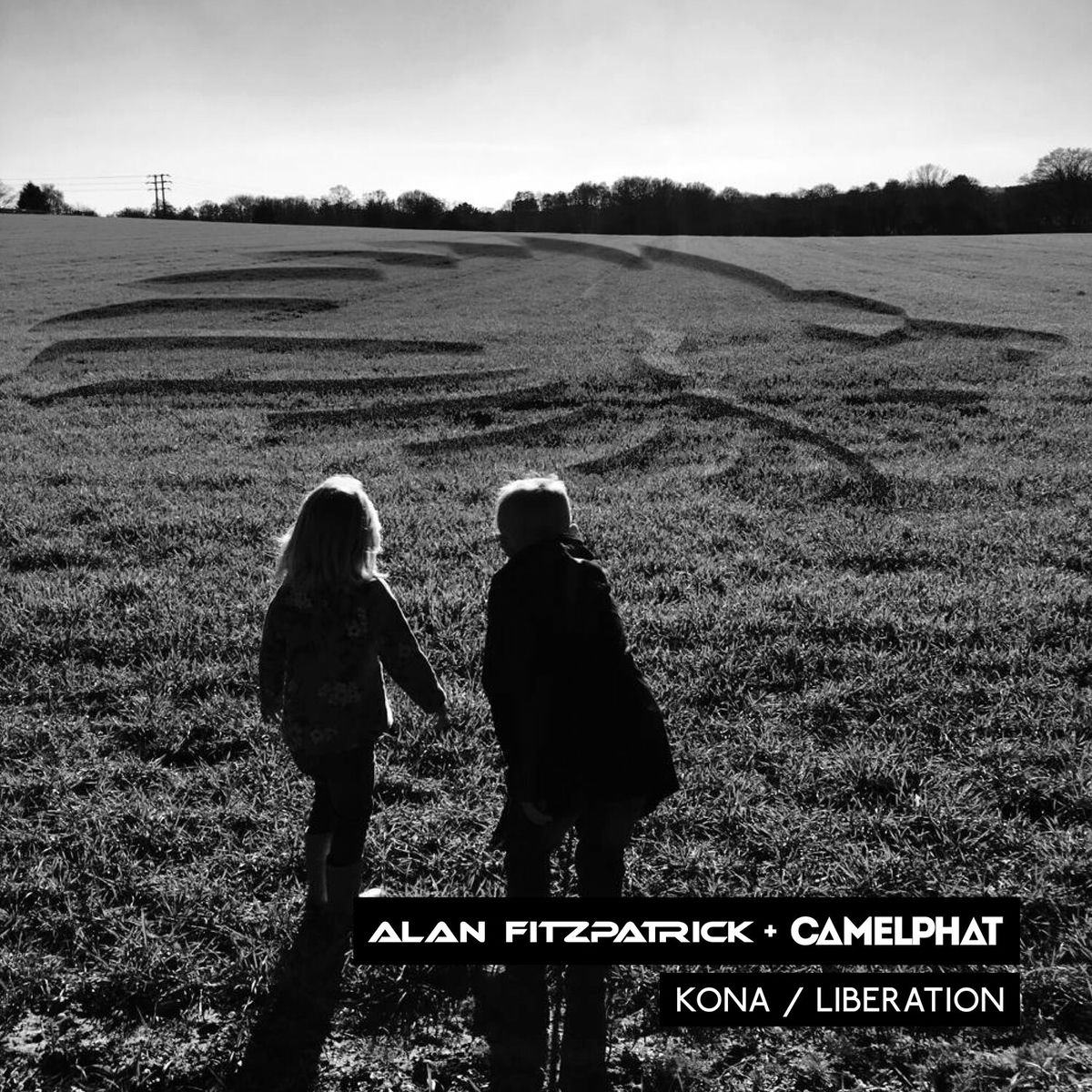 Album cover of Kona