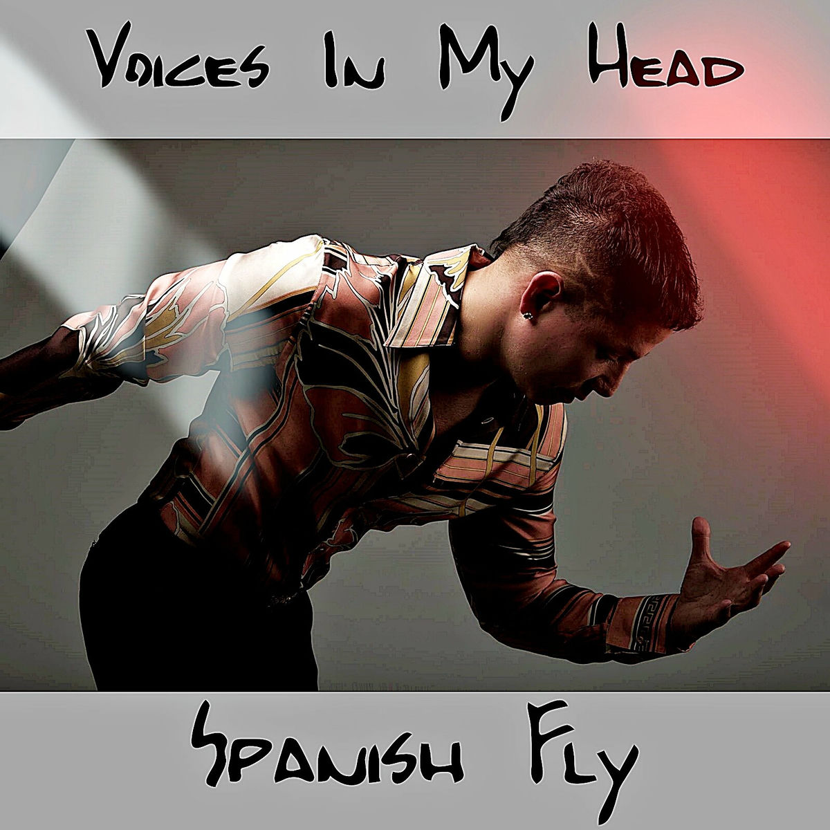 Album cover of Voices in My Head