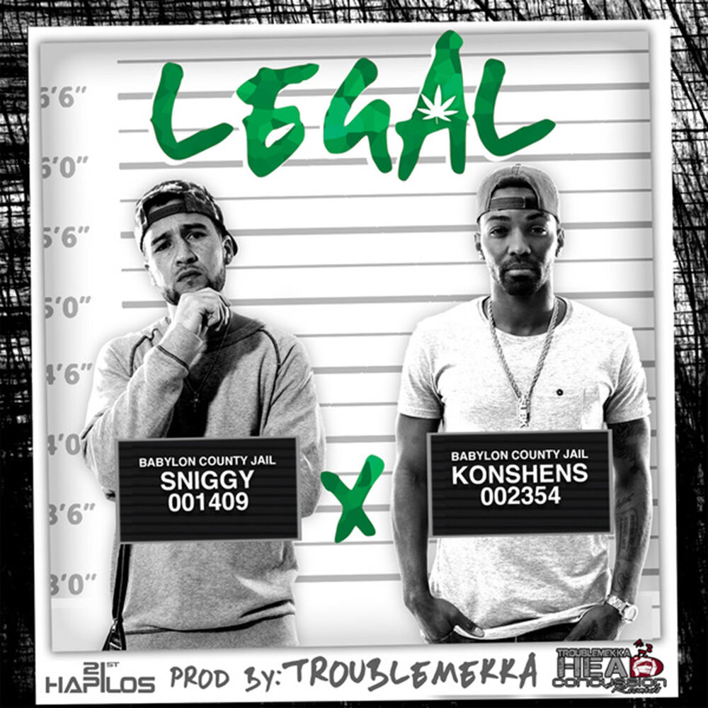 Picture of Legal - Single