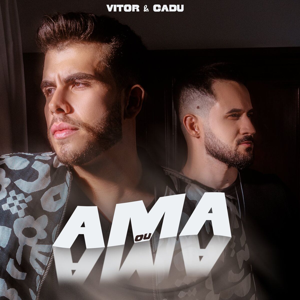 Album cover of Ama ou Ama