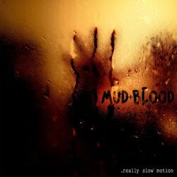 Cover of Mud + Blood