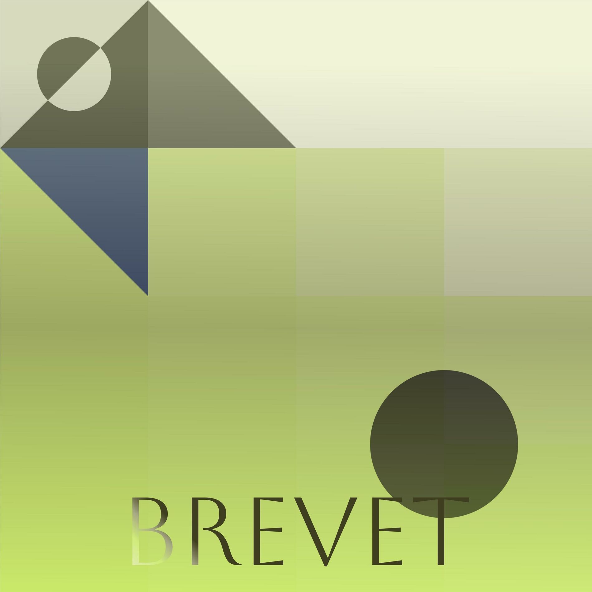 Album cover of Brevet