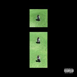Cover of iNDIFFERENT (feat. Zelooperz)
